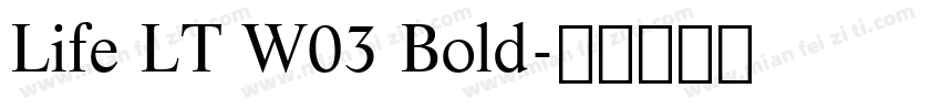 Life LT W03 Bold字体转换
